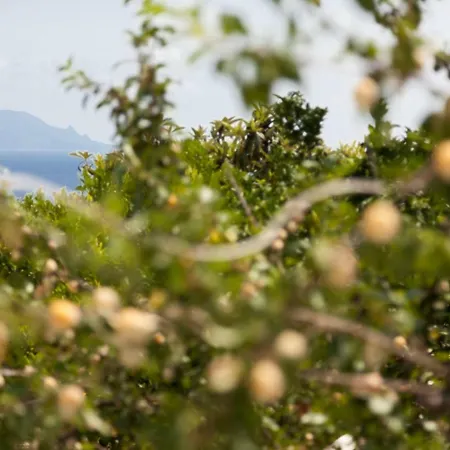 Note Di Salina Bed & Breakfast Santa Marina Salina